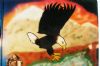 American Bald Eagle